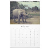 Elefantensafari Kalender (Jan 2026)