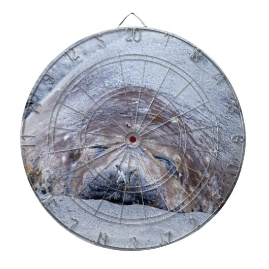 Elefantenschlafen Siegel Dartscheibe (vorne)