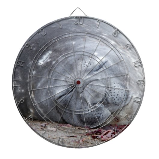 Elefantenschlafen Siegel Dartscheibe (vorne)