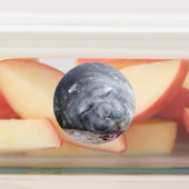 Elefantenschlafen Siegel Etiketten (Befestigt)