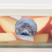 Elefantenschlafen Siegel Etiketten (Befestigt)