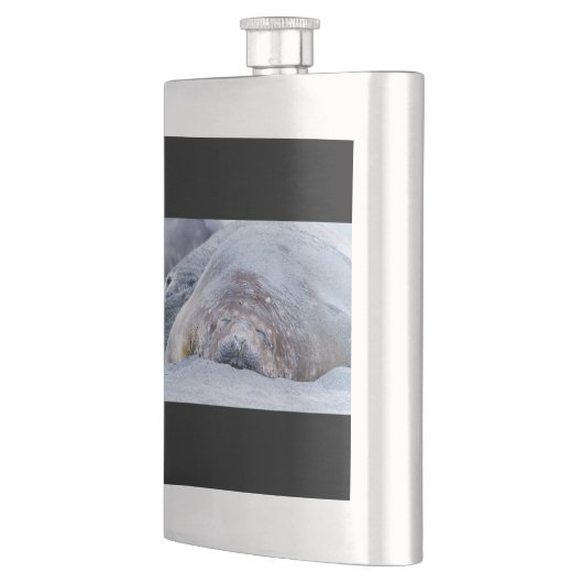 Elefantenschlafen Siegel Flachmann (Links)