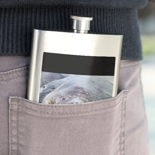 Elefantenschlafen Siegel Flachmann (Beispiel)