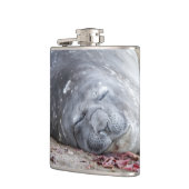 Elefantenschlafen Siegel Flachmann (Links)