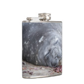 Elefantenschlafen Siegel Flachmann (Rechts)