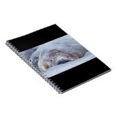 Elefantenschlafen Siegel Notizblock (Rechte Seite)