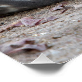 Elefantenschlafen Siegel Poster (Ecke)