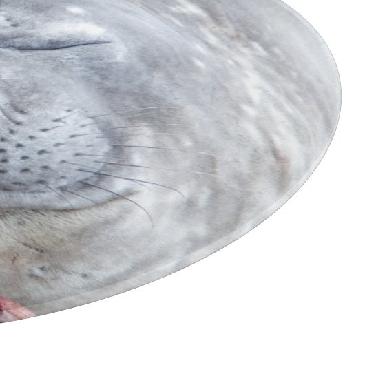 Elefantenschlafen Siegel Schneidebrett (Ecke)