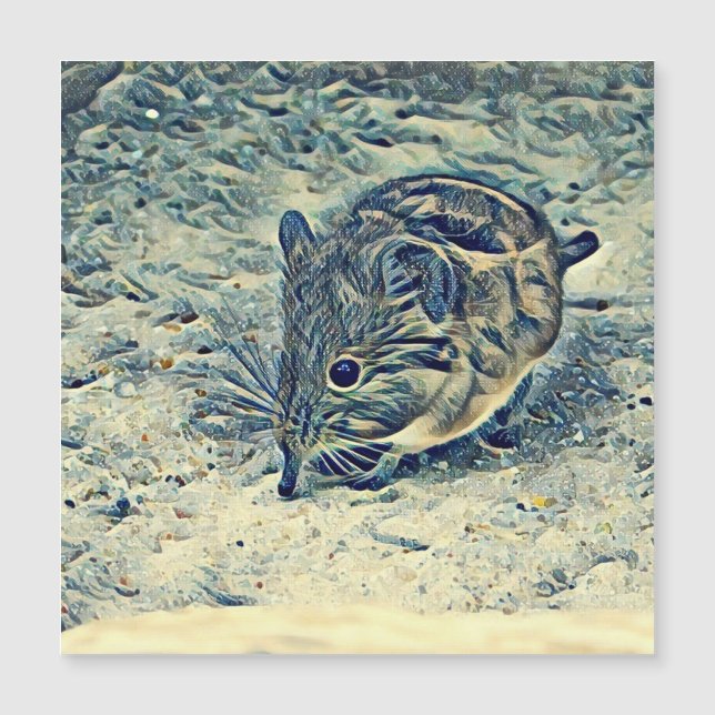 Elefantenschrei (Macroscelididae) Magnetkarte (Vorderseite)