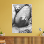 ElefantenSiegel Leinwanddruck (Insitu (Wohnzimmer))