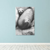 ElefantenSiegel Leinwanddruck (Insitu (Holzboden))