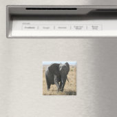 Elefantenspaziergang Magnet (In Situ (Geschirrspüler))
