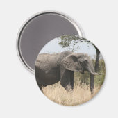 Elefantenspinner Magnet (Vorderseite/Rückseite)