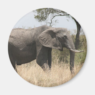 Elefantenspinner Magnet