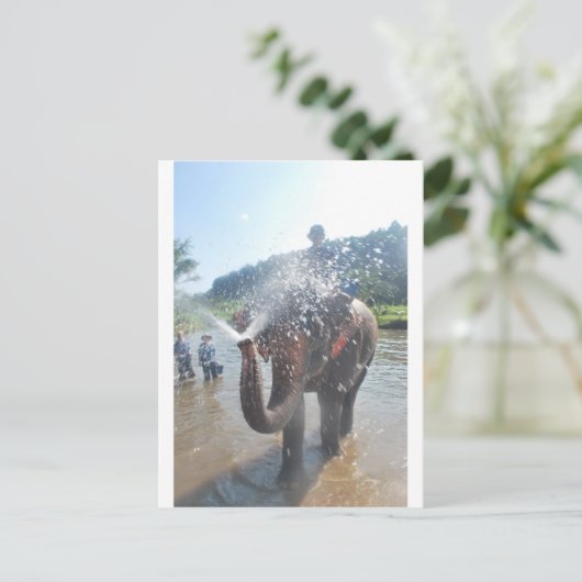 Elefantensprühwasser Postkarte (Stehend Vorderseite)