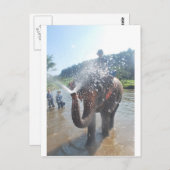 Elefantensprühwasser Postkarte (Vorne/Hinten)