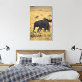 Elefantenstamm , der Nachkommen berühren soll , Ke Leinwanddruck (Insitu (Schlafzimmer))