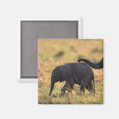 Elefantenstamm , der Nachkommen berühren soll , Ke Magnet (Vorderseite/Rückseite)