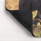 Elefantenstamm , der Nachkommen berühren soll , Ke Mousepad (Ecke)
