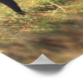 Elefantenstamm , der Nachkommen berühren soll , Ke Poster (Ecke)