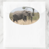 Elefantenständer Ovaler Aufkleber (Tasche)