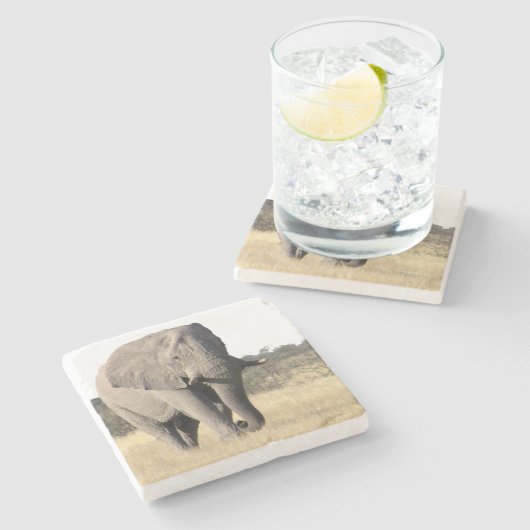 Elefantenstein-Untersetzer Steinuntersetzer (Seitenansicht)