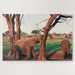 Elefantenstoß Puzzle