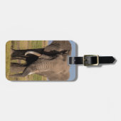 Elefantensuche Gepäckanhänger (Vorderseite horizontal)