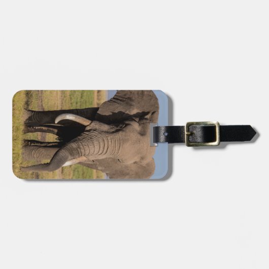 Elefantensuche Gepäckanhänger (Vorderseite horizontal)