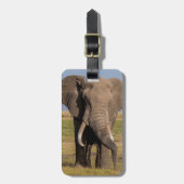 Elefantensuche Gepäckanhänger (Vorderseite vertikal)