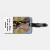 Elefantensuche Gepäckanhänger (Rückseite horizontal)