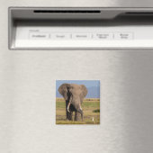 Elefantensuche Magnet (In Situ (Geschirrspüler))