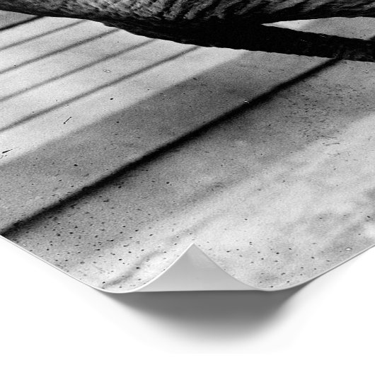 Elefantentrick der 1910er poster (Ecke)