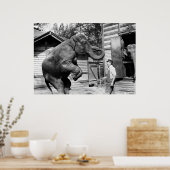 Elefantentrick der 1910er poster (Küche)