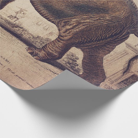 Elefantenumhüllung oder Dekoupage-Papier Geschenkpapier (Ecke)