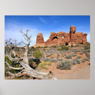 Elefantenumzug im Arches National Park Poster