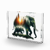 Elefantenwald  fotoblock (Rechts)
