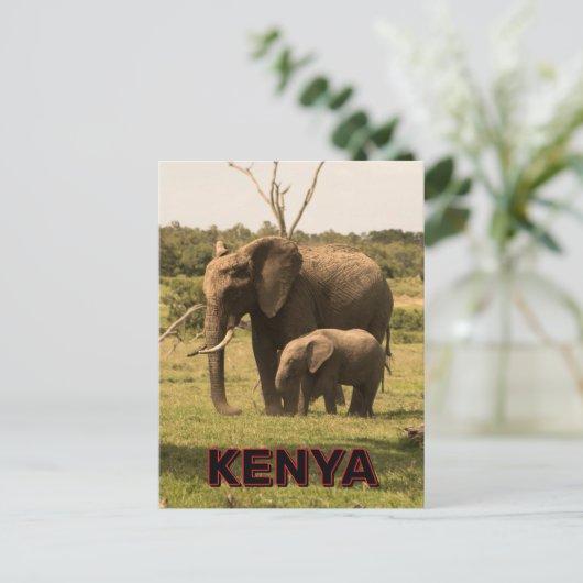 Elefantenweide in Kenia Postkarte (Stehend Vorderseite)
