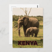 Elefantenweide in Kenia Postkarte (Vorne/Hinten)