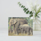 Elefantenzuchtzentrum Chitwan - Babby und Mami Postkarte (Stehend Vorderseite)