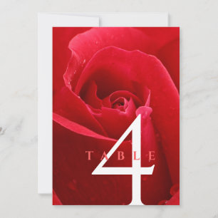 Elegant 15. 26. 36. Rose Hochzeit Jahrestag Einladung