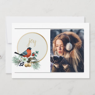 Elegant 1 Foto Winter Robin, JOY Christmas