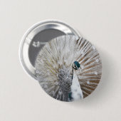 Elegant Albino Peacock Button (Vorne & Hinten)