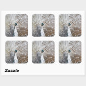 Elegant Albino Peacock Quadratischer Aufkleber (Blatt)