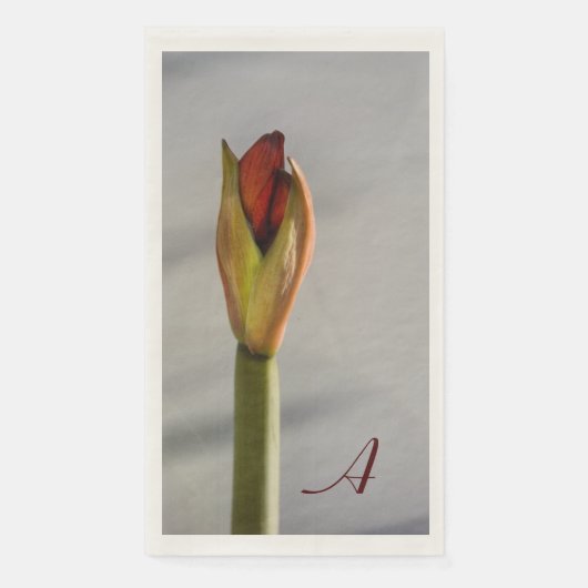 Elegant Amaryllis Bud Minimalistisch Serviette (Vorderseite)