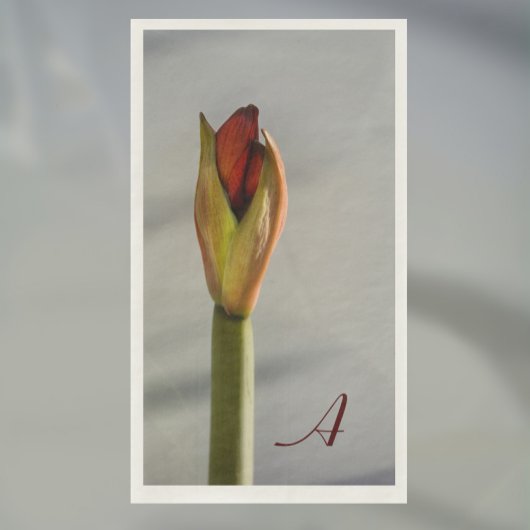 Elegant Amaryllis Bud Minimalistisch Serviette