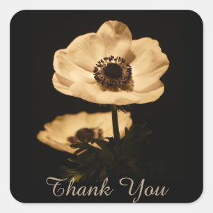 Elegant Anemone Blume Vielen Dank Quadratischer Aufkleber