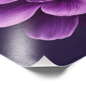 Elegant Anemone Fotodruck (Ecke)