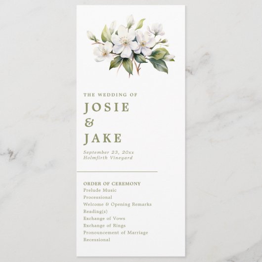 Elegant Apple Blossom Minimalistisch Botanische Ho Programm (Vorderseite)