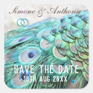 Elegant Aqua Peacock Feathers Save the Date Quadratischer Aufkleber